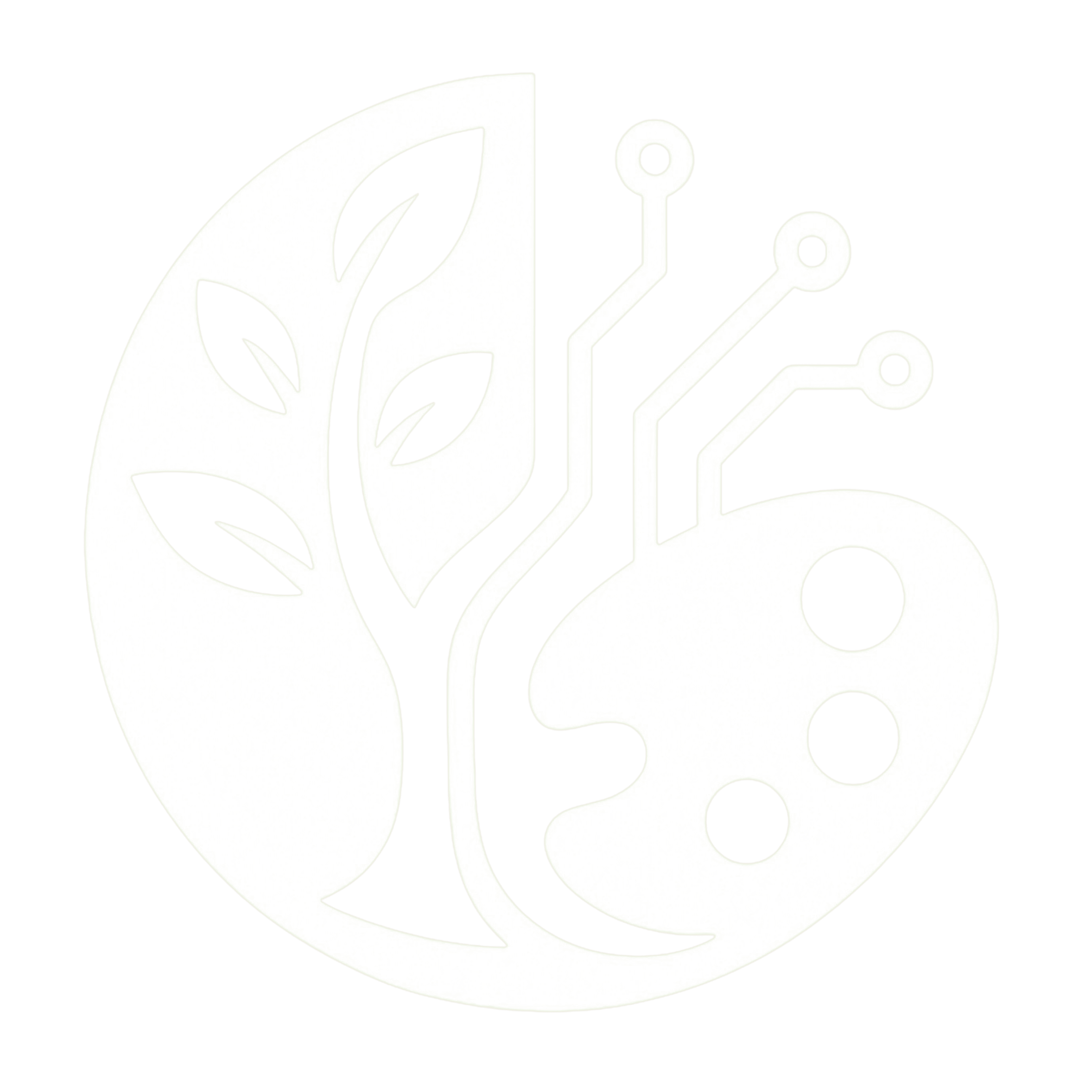 N'apsak